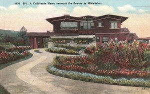 Vintage Postcard 1910's California Home amongst Flowers in Midwinter Attraction