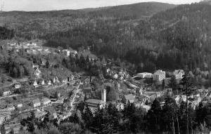 BG24137 triberg schwarzwald   germany  CPSM 14x9cm