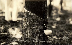 American Rubber Co Tapped Tree Basilan Island Mindanao Philippines RPPC