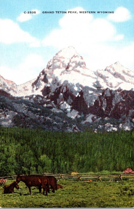 Wyoming Grand Teton Peak 1958