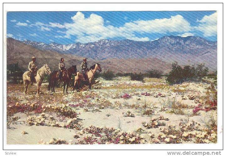 Three Men On Horses, Springtime On A Desert Playground, Lofty San Jacinto, Ca...