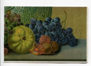 287566 RUSSIA Pashkin nature-morte fruits Vintage postcard
