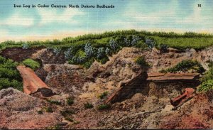 North Dakota Badlands Iron Log In Cedar Canyon