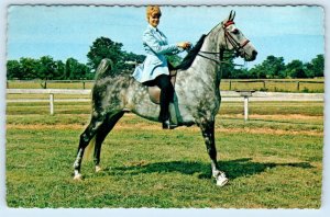 Horse STONEWALL'S SPORT Owner Katha Butts of Nashville c1970s 4x6 Postcard