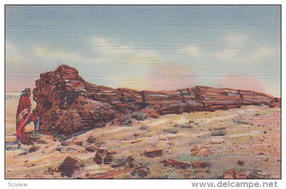 ARIZONA, 1930-1940´s; Nez By the Big Log, Petrified Forest