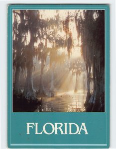 Postcard Cypress Paradise, Florida
