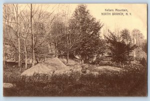 1910 North Branch New York NY Vintage Postcard Kellars Mountain Trees Posted