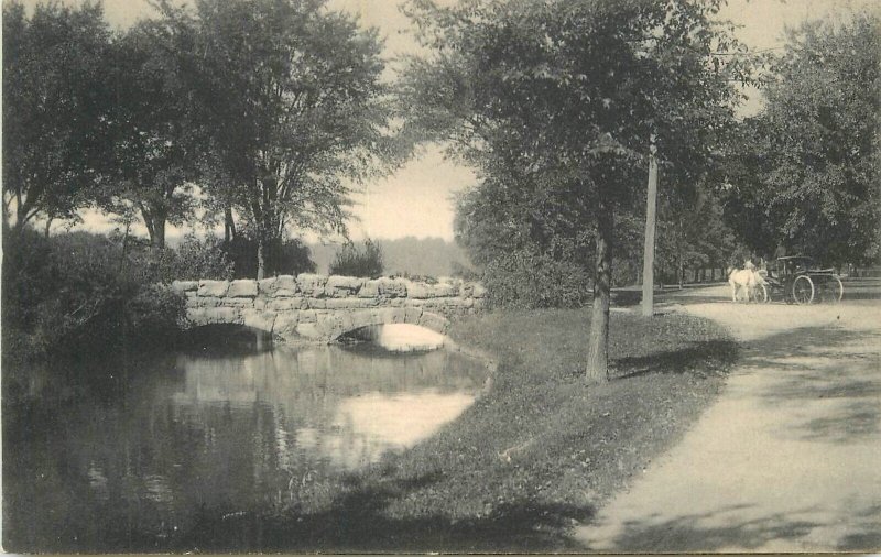 Postcard New York Niagara Falls Rustic Bridge Willow Island C-1905 23-10534