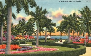 Vintage Postcard Beautiful Park Flower Landscaped Palm Trees Boats Ocean Florida