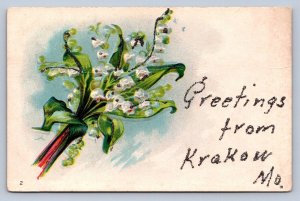 J96/ Krakow Missouri Postcard c1910 Glitter Greetings from Krakow Mo 467