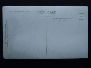 Durham BARNARD CASTLE The Tees from Abbey Bridge c1930s RP Postcard