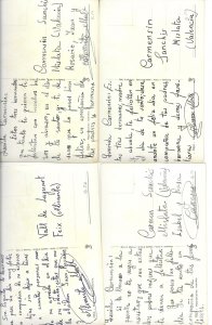 Beautiful flowers Lor of nineteen (29) old vintage PC. Early 20th century