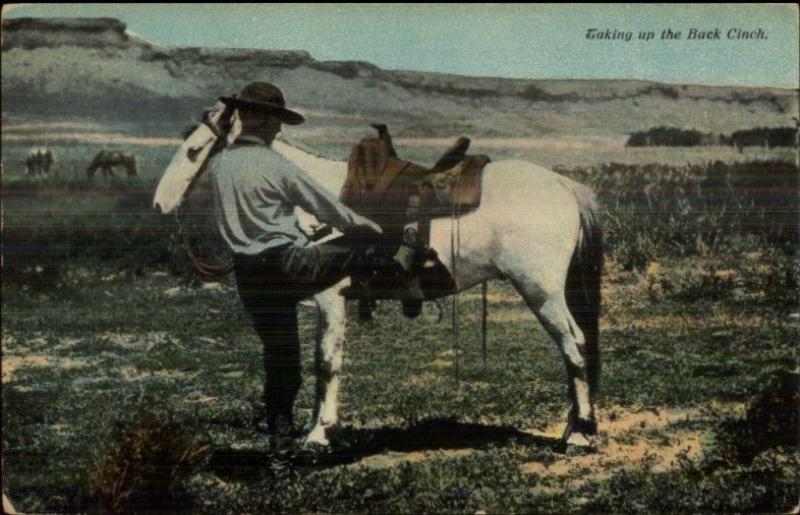 Cowboy Mounting His Horse TAKING UP THE BACK CINCH c1910 Postcard