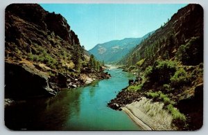 Salmon &  Snake River  Idaho  Postcard