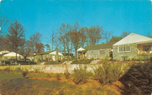 Asheville, NC North Carolina  ROCK HAVEN TERRACE Roadside Motel ca1950s Postcard