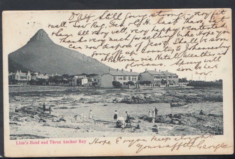 South Africa Postcard - Lion's Head and Three Anchor Bay    T2889