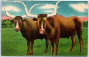 M-3553 Texas Long Horn Steer