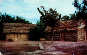 Palm Leaves Mud Branches La Chozas Ektachrome Don Bartels Postcard UNP Vintage 