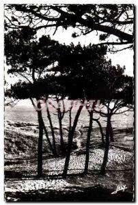 Modern Postcard Saint Jean de Monts (Vendee) Sea through the Pines