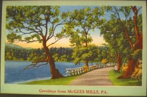 McGees Mills PA Greeting Postcard