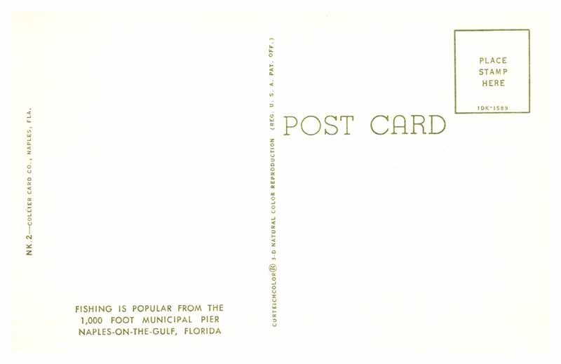 Postcard PIER SCENE Naples Florida FL AU3868