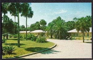 Florida ST. AUGUSTINE The Rocks Motel on Florida A1A South of Marineland Chrome