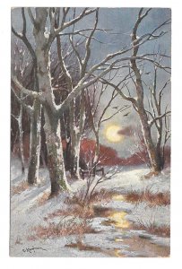 Austrian Painter Adolf Kaufmann Winter Landscape Trees Full Moon TSN Postcard