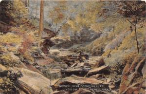 E92/ Newell West Virginia Postcard Newell Park 1909 Laurel Hollow 16
