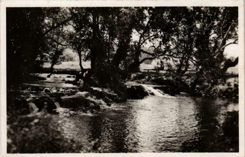 CPA AK IFRANE Oued bordé d'arbres MAROC (689569)