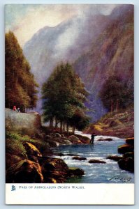 North Wales Postcard Pass of Aberglaslyn c1910 Unposted Oilette Tuck Art