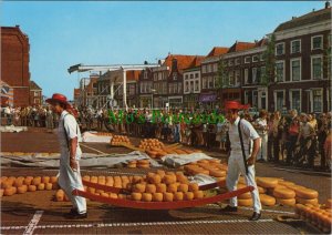 Food & Drink Postcard - Cheese, Alkmaar Kaasmarkt, The Netherlands  RR13822