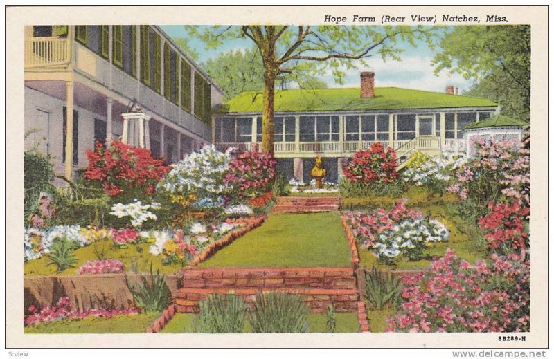 Rear View of Hope Farm, Flower Garden, Mr. and Mrs. Balfour Miller, Natchez, ...