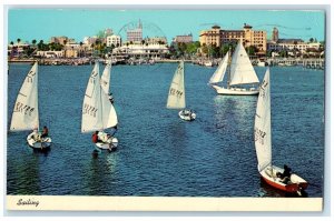 1960 Sailboats Maneuver Waterfront Park St. Petersburg Florida Vintage Postcard