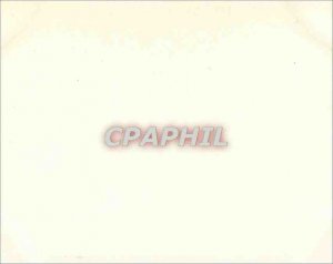 Modern Postcard Windsor Castle from Bridge