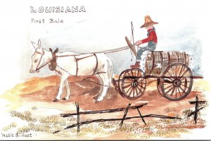 Louisiana First Bale Donkey Pulling Cart Full Of Cotton By Mable G Hust