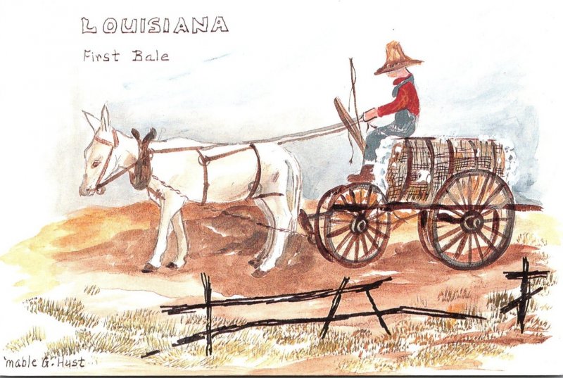 Louisiana First Bale Donkey Pulling Cart Full Of Cotton By Mable G Hust