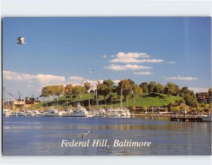 Postcard Federal Hill, Baltimore, Maryland