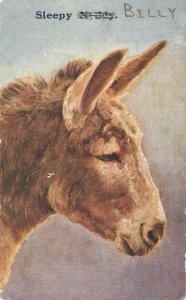 A donkey. Sleepy Noddy (BIlly) Old vintage English photo postcard