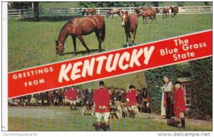 Greetings From Kentucky The Blue Grass State With Horses