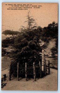 Memory Tree Empress UMIJIGOKU Beppu JAPAN Postcard