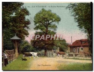 Old Postcard The National Asylum Vesinet La Vacherie Cows