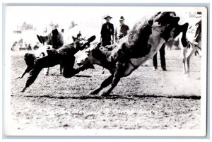 Calgary Canada Postcard Men and Bulls Calgary Stampede c1910 RPPC Photo