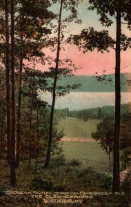Hand Colored The Glen Springs Golf Course Green No. 2 Watkins New York  Postcard