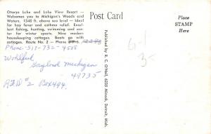 E38/ Gaylord Michigan Mi Postcard c1940s Wohlfeil Lake View Resort