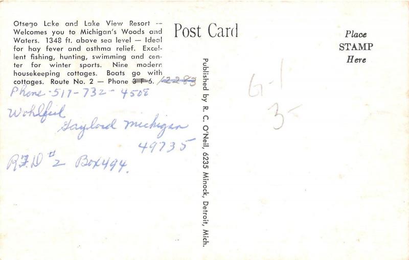 E38/ Gaylord Michigan Mi Postcard c1940s Wohlfeil Lake View Resort