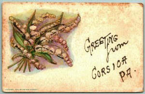 Lily of the Valley Greeting From Corsica Pennsylvania PA 1907 DB Postcard F8