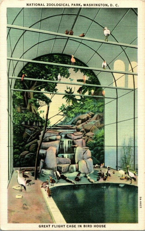 Vtg Postcard Washington DC National Zoological Park Flight Cage In Bird House