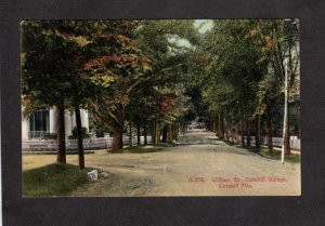 NY William St, Catskill Mountains Mtns Village New York Postcard