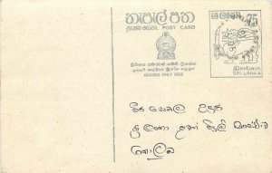 Entier Postal Stationery Postal Sri Lanka Ceylon Lion