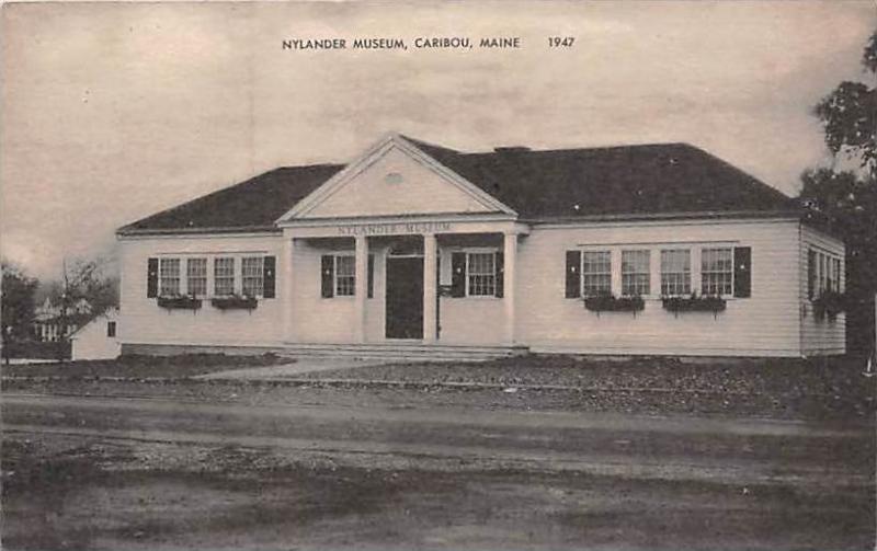 Maine Caribou     Hylander Museum